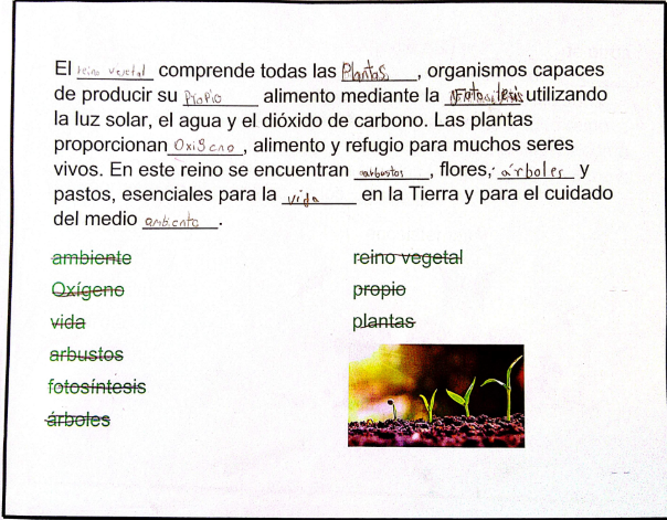 Figura 4